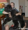 Truffe Noire Bouvier des Flandres