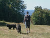 Truffe Noire Bouvier des Flandres