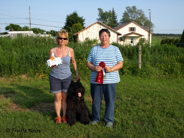 Truffe Noire Bouvier des Flandres