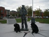 Truffe Noire Bouvier des Flandres
